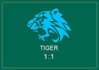 Live Casino - Live Dragon Tiger Tiger Bet